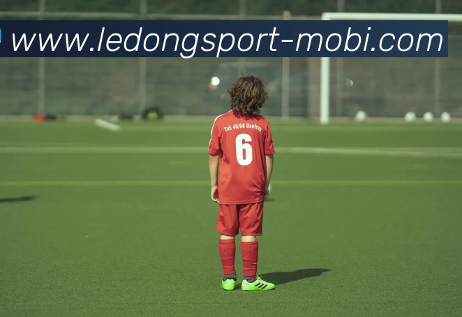 乐动体育平台生态图