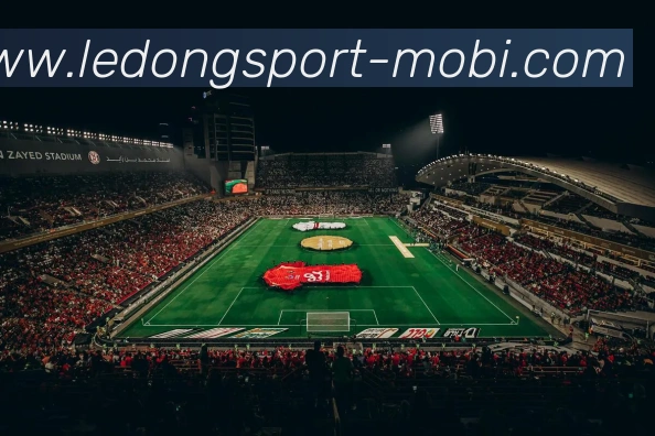 App 展示图